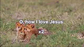 Opwekking 031 O, how I love Jesus 1B