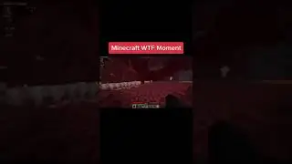 Best WTF Minecraft Moment