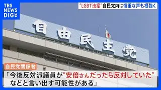 自民党「LGBT理解増進法案」提出に向けた準備進める　党内には慎重意見も根強い｜TBS NEWS DIG