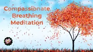 Compassionate Breathing Meditation 🌺