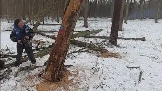 Делу время, потехе час! И отдохнули, и поработали!