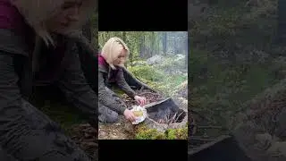 Swedish meatballs in the woods (recipe) | #shorts