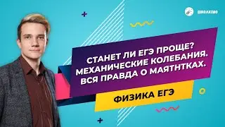 ЕГЭ2020. ФИЗИКА. Механические колебания. Вся правда о маятниках. Станет ли ЕГЭ по физике проще?