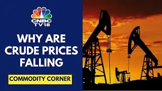 Crude Oil Prices Fall Over 3% Overnight And Are Now Down 6% In The Last One Week | CNBC TV18