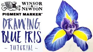 Winsor and Newton Pigment Markers - Drawing an Iris flower Tutorial
