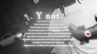 Y NOT? - Lucki (edit)