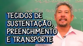 REINO PLANTAE | Briófitas e Pteridófitas: Características gerais e reprodução