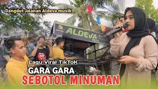 LAGU VIRAL GARA GARA SEBOTOL MINUMAN VERSI ALDEVA MUSIK VOC AOLINA L