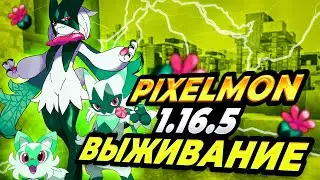 НАЧАЛО ВЫЖИВАНИЯ С НОВЫМИ ПОКЕМОНАМИ | Pixelmon 1.16.5 выживание #1