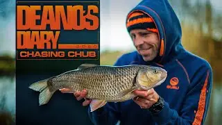 Deanos Diary Chasing Chub