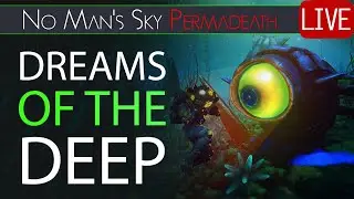 Looking Into The Abyss! | No Mans Sky PERMADEATH #55 | Xaines World Live NMS 2021