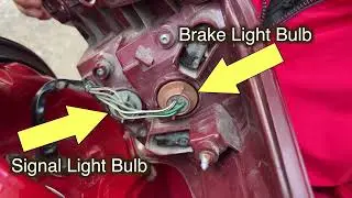 How To Replace Rear Stop/Brake And Turn Signal Light Bulbs Toyota RAV4 2013-2018