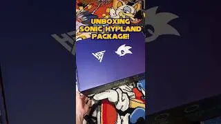 Unboxing Sonic the Hedgehog Hypland Box!