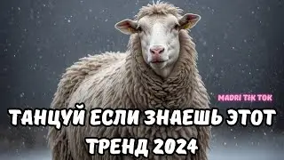 💗ТАНЦУЙ ЕСЛИ ЗНАЕШЬ ЭТОТ ТРЕНД 2024💗