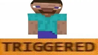 THE ANGRIEST MINECRAFT STEVE HAHAHA