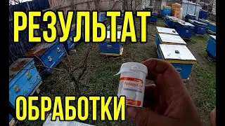 Результат обработки от клеща. Часть 2