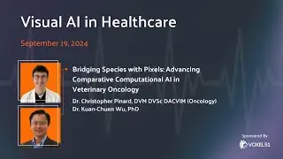 Visual AI in Healthcare: Advancing Comparative Computational AI in Veterinary Oncology