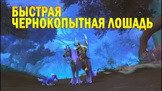 Быстрая чернокопытная лошадь. Swift Gloomhoof. WOW: Shadowlands.