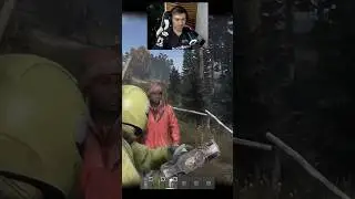 Dayz помощь другу