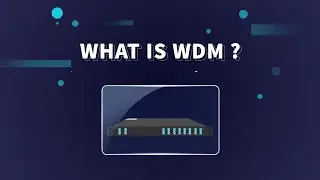 What is WDM?