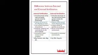 Difference between internal and external fertilization