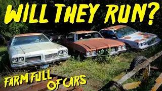 Abandoned Farm FULL of Old Cars - Will They RUN & DRIVE??