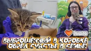 Выброшенный в коробке обрел счастье в семье! | Юнго