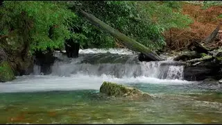 Liucura River Portal, Chile