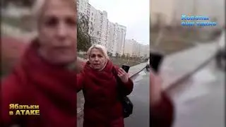 Ябатька в атаке!