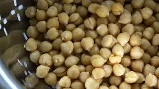 WAJIB TAHU!! Inilah 15 Manfaat dan Khasiat Kacang Garbanzo untuk Kesehatan