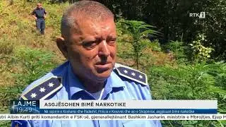 Në rajonin e Koshares dhe Padeshit, Policia e Kosovës dhe ajo e Shqipërisë, asgjësuan bimë narkotike