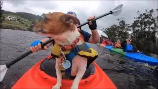 Kayaking HUON River Ranelaugh to Franklin with Joppichs family 5 seat Kayak