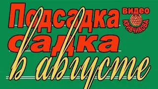 Матководство ч.20. Подсадка садка