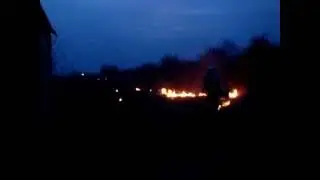 Пал травы