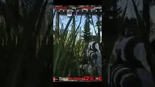 The .13 Tarkov wipe so far 