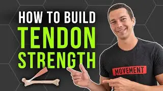 The Key to Building Strong Tendons | The Science of Tendon Training