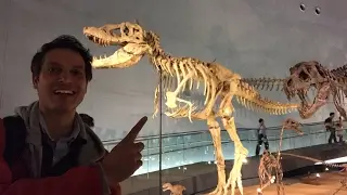 World's Best Dinosaur Museum