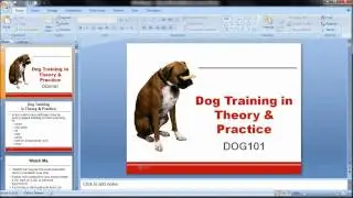 How to add an automatic date in PowerPoint 2007