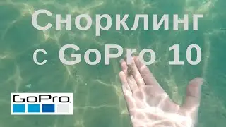 GoPro Hero 10 | Черное море - снорклинг 03/07/2022, смотреть в 4K - 03