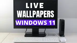 How to Use Live Wallpaper on Windows 11