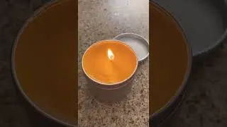 Homemade Beeswax Candle | Purest Burning | NO Toxins