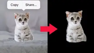 iPhone Remove Background and Save Transparent Image iOS 16 