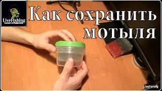 Как сохранить мотыля. Лучший способ. (LiveFishing)