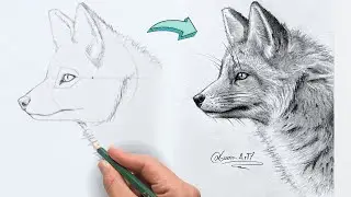 Cómo Dibujar un Zorro Realista a lápiz - paso a paso