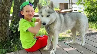 Sofia and Max want to get a new pet