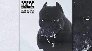 Booba - FREESTYLE PIRATE (Audio)