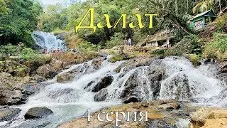 Далат достопримечательности 2019. Кофе Лювак (Копи Лювак) - как производят