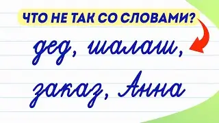 Что не так с этими словами? дед, шалаш, заказ, Анна | Слова палиндромы