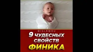 9 чудесных свойств финика