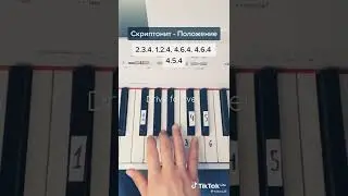 Notes of Drive Forever
